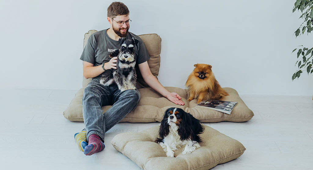 Guide on How to Welcome a New Dog into Your Home